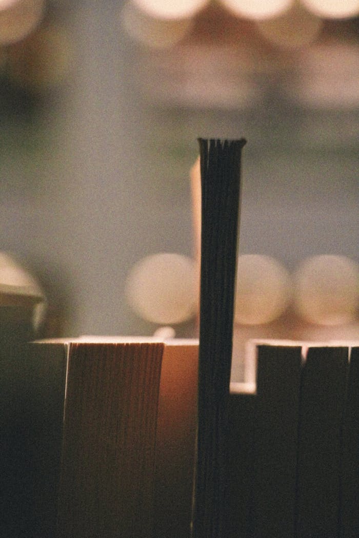 Artistic photo of books with a blurred background and back lighting.